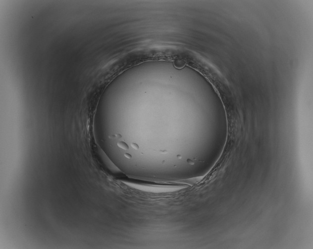 X0000111611013200907241005