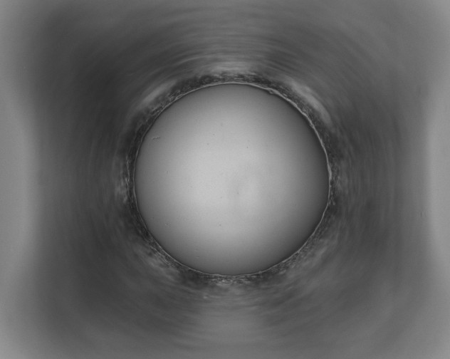 X0000111611015200907241005
