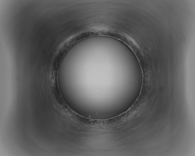 X0000111611016200907241005