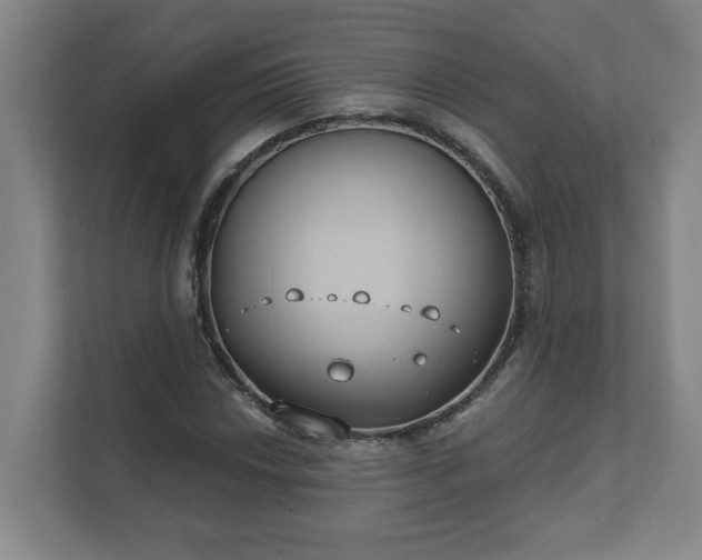 X0000111611018200907241005