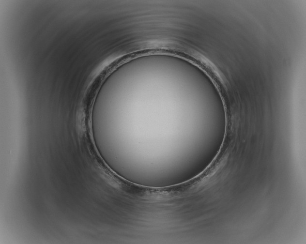 X0000111611019200907241005