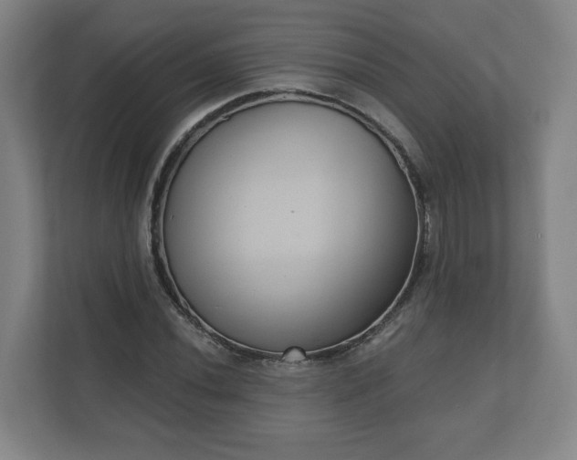 X0000111611020200907241005