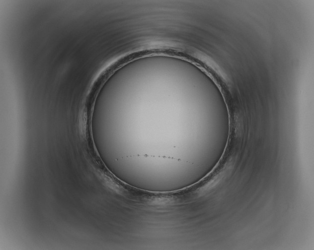 X0000111611021200907241005