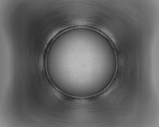 X0000111611023200907241005