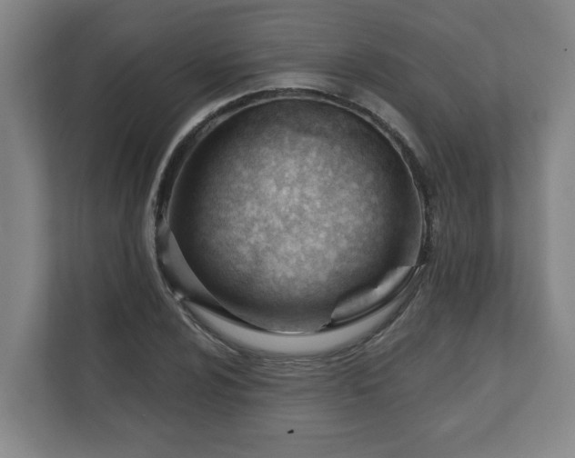 X0000111611024200907241005