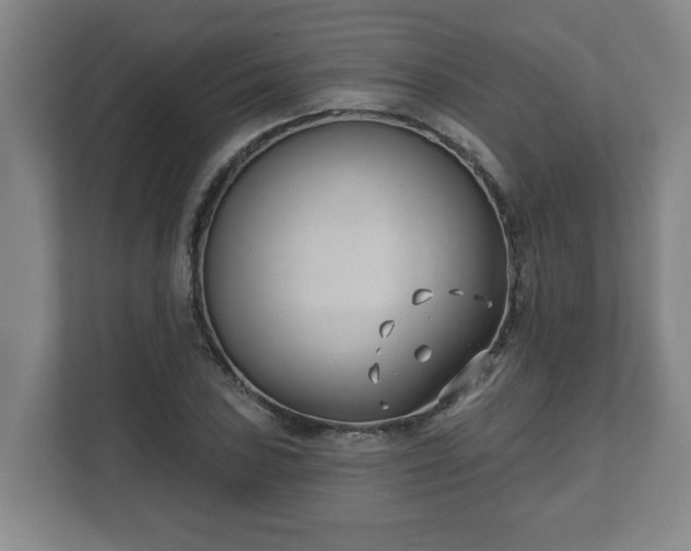 X0000111611027200907241005