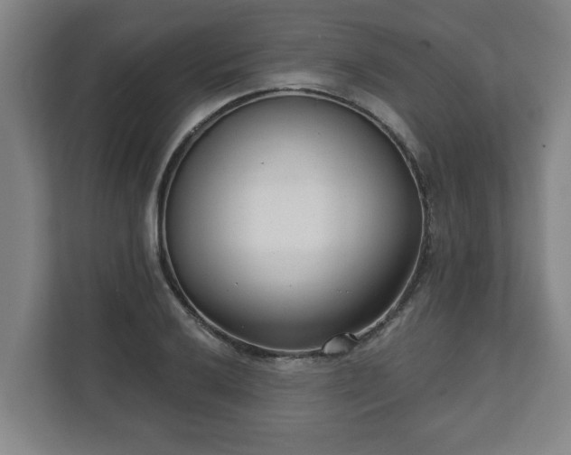 X0000111611032200907241005