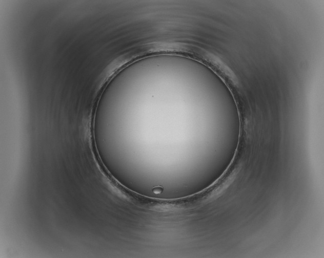 X0000111611033200907241005