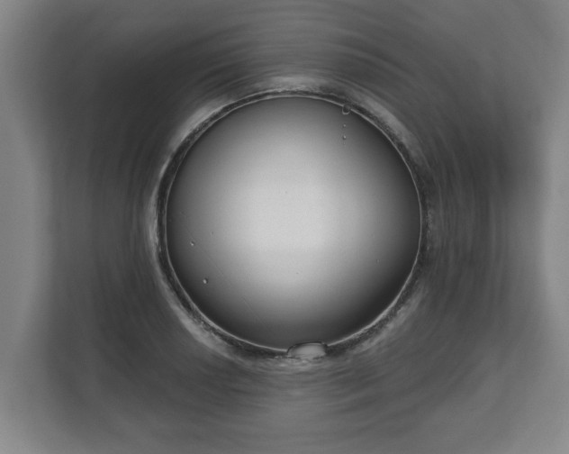 X0000111611034200907241005