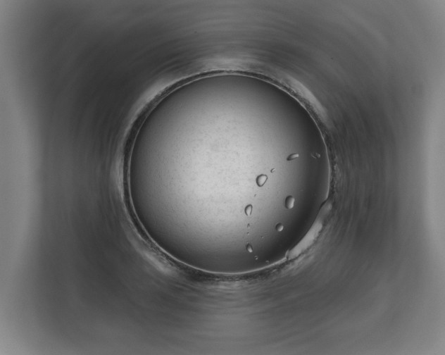 X0000111611035200907241005
