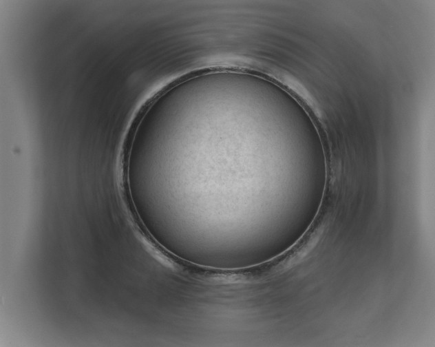 X0000111611037200907241005