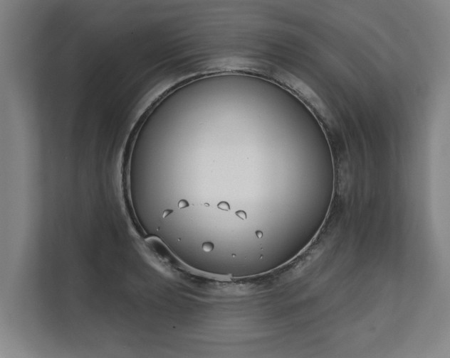 X0000111611039200907241005