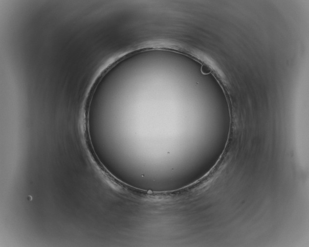 X0000111611040200907241005