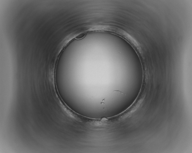 X0000111611041200907241005