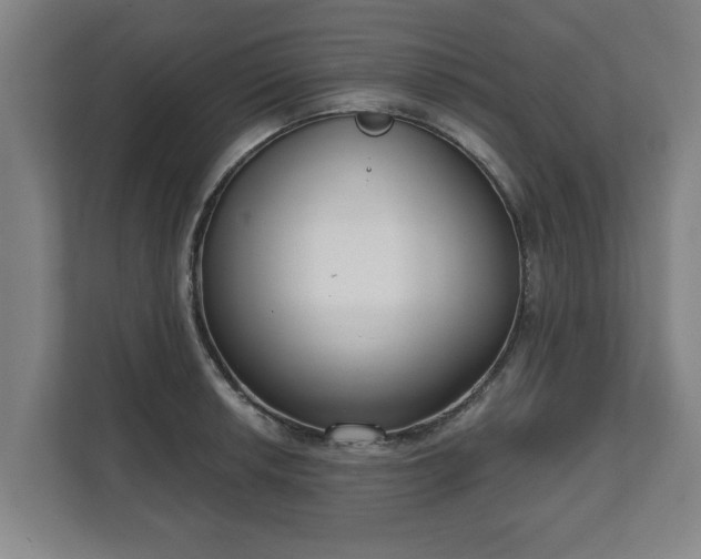 X0000111611042200907241005