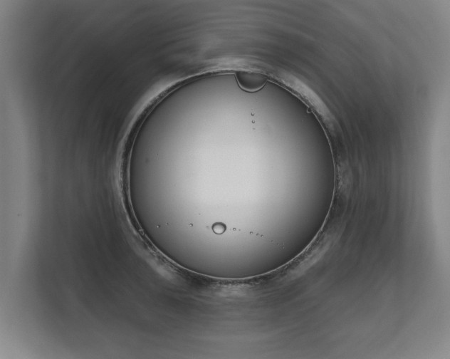 X0000111611043200907241005