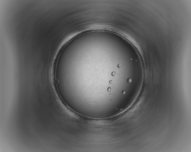 X0000111611045200907241005