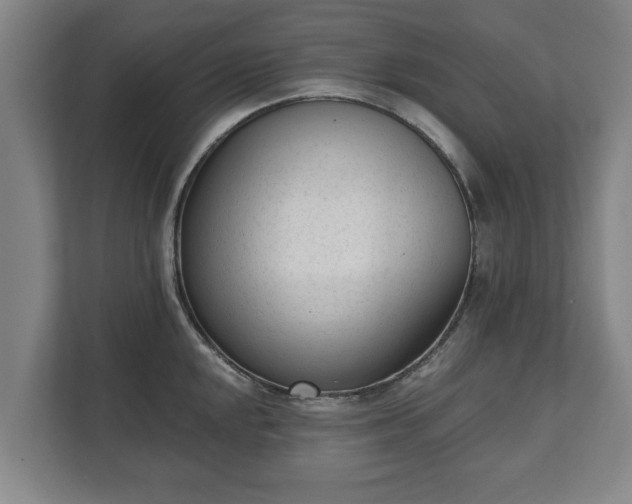 X0000111611048200907241006