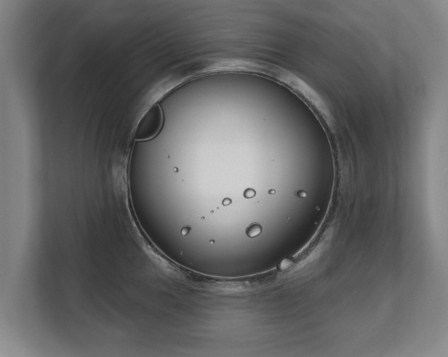 X0000111611049200907241006