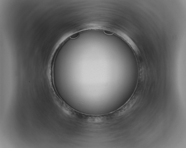 X0000111611051200907241006