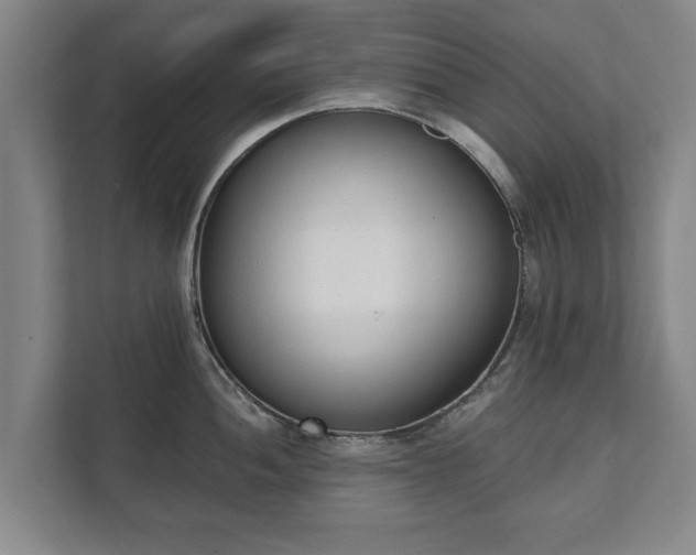 X0000111611052200907241006