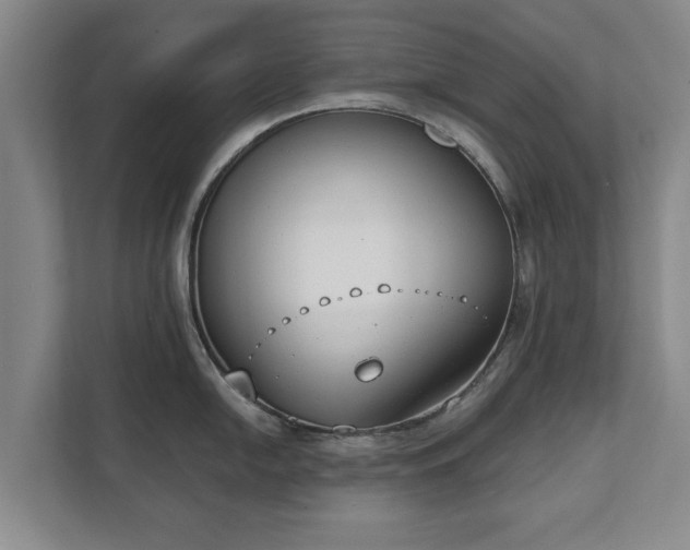 X0000111611054200907241006