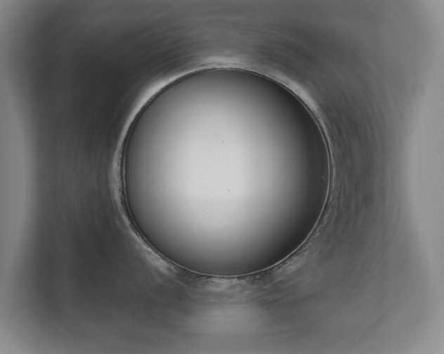 X0000111611056200907241006