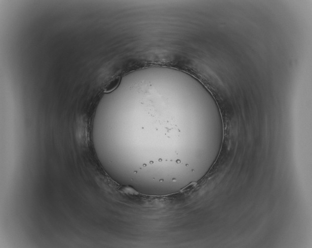 X0000111611058200907241005