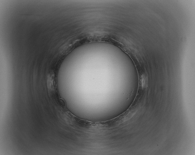 X0000111611059200907241005