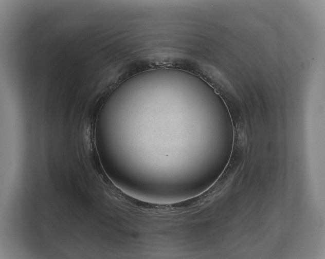 X0000111611060200907241005