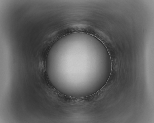 X0000111611061200907241005