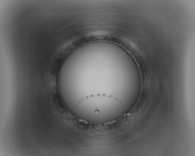 X0000111611062200907241005