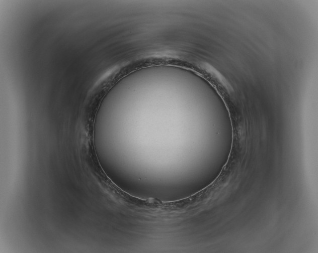 X0000111611064200907241005