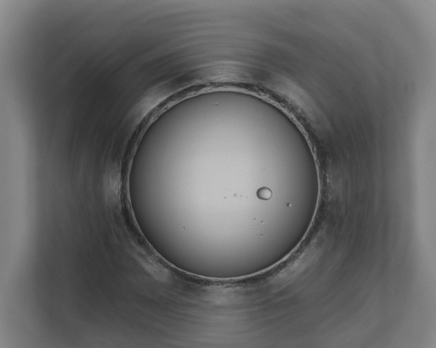 X0000111611065200907241005