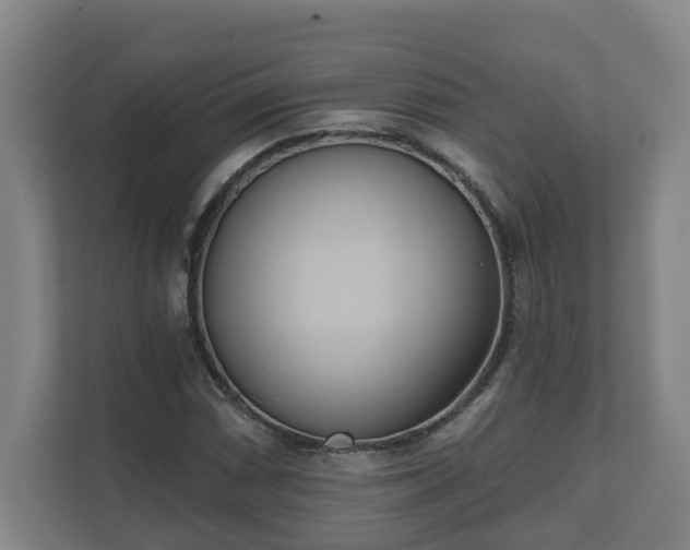 X0000111611066200907241005