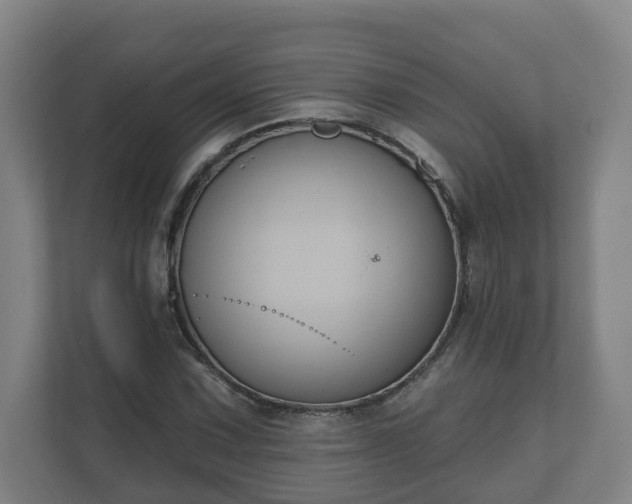 X0000111611067200907241005