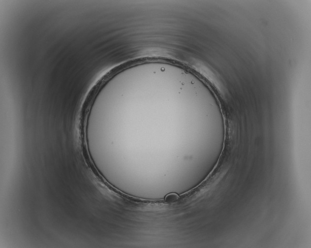X0000111611068200907241005