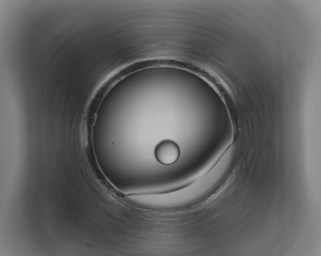 X0000111611069200907241005