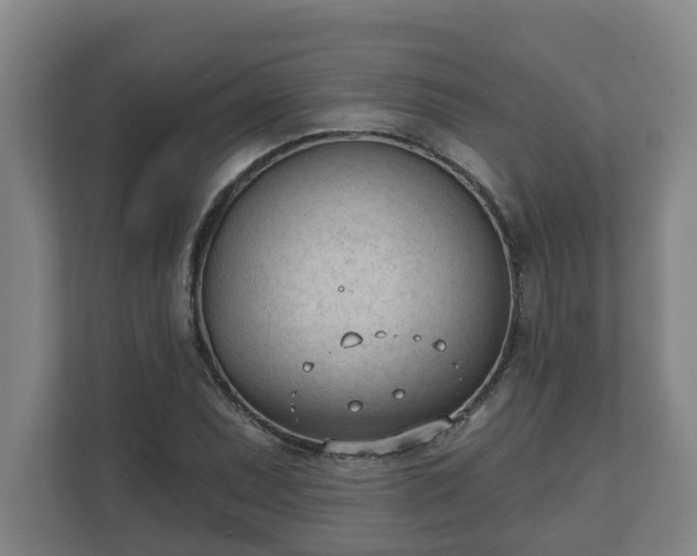 X0000111611071200907241005