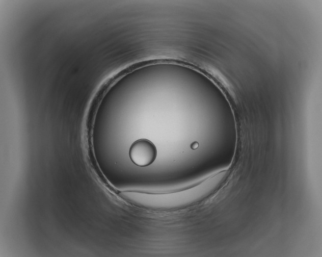 X0000111611072200907241005