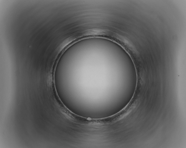 X0000111611073200907241005