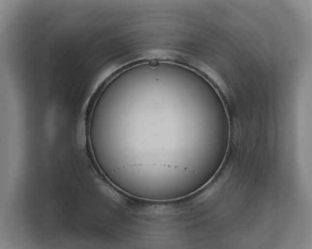 X0000111611075200907241005
