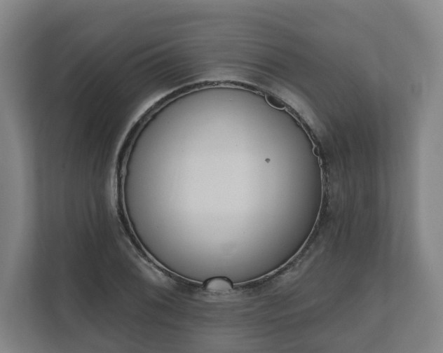 X0000111611076200907241005