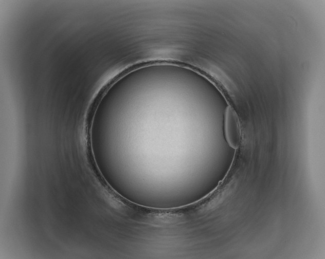 X0000111611077200907241005