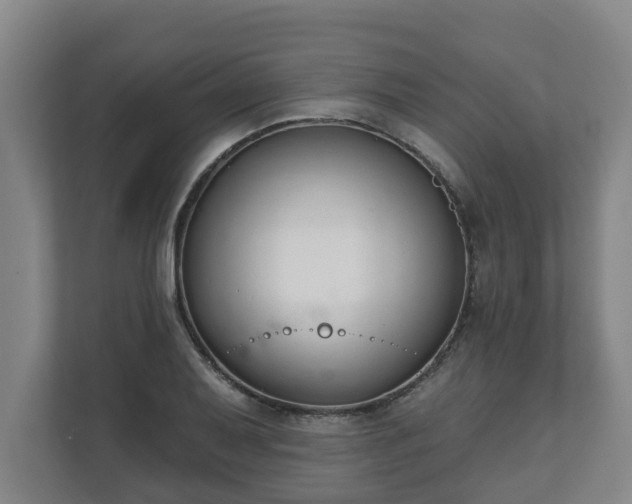 X0000111611079200907241005