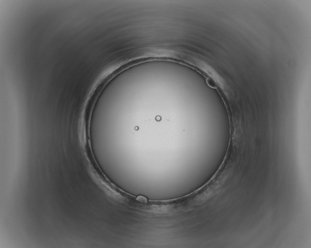 X0000111611080200907241005