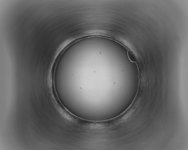 X0000111611082200907241005