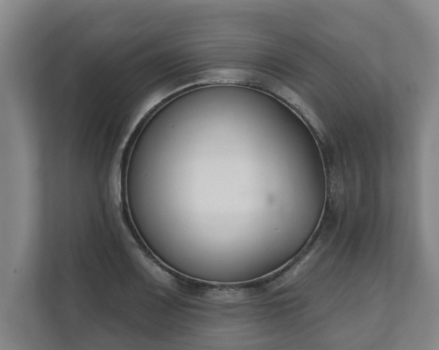 X0000111611083200907241005