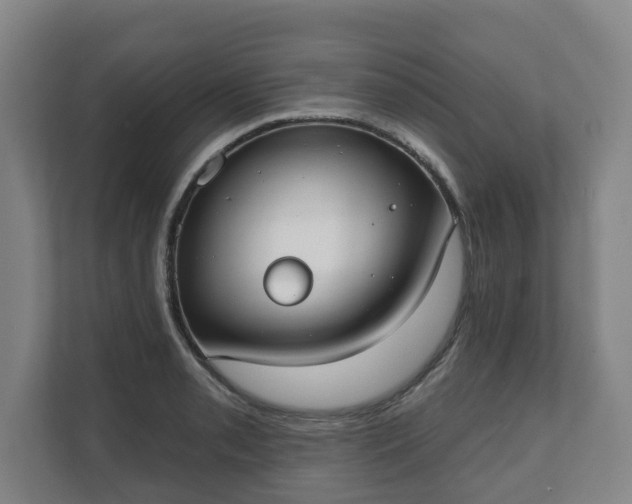 X0000111611085200907241005