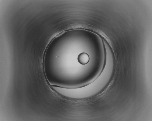 X0000111611089200907241005